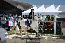 ref. photo 3604590