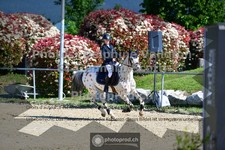 ref. photo 3604605