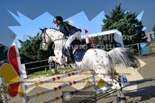 ref. photo 3604613