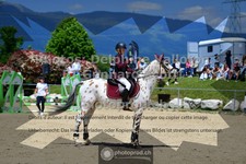 ref. photo 3604618
