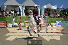 ref. photo 3604622