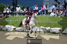 ref. photo 3604623
