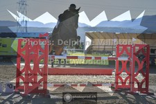 ref. photo 3604696