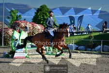 ref. photo 3604704