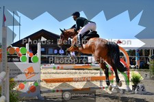 ref. photo 3604706