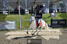 ref. photo 3604760