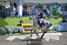 ref. photo 3604803