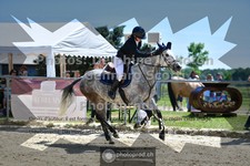 ref. photo 3604823