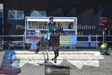 ref. photo 3604833