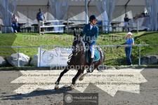 ref. photo 3604839