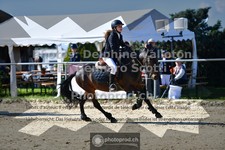 ref. photo 3604897