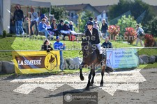 ref. photo 3604903