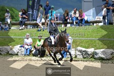 ref. photo 3604909