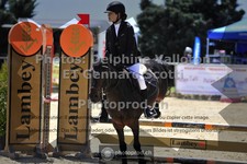 ref. photo 3604916