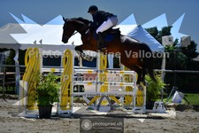 ref. photo 3604947