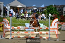 ref. photo 3604967