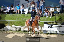 ref. photo 3604969