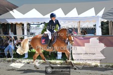 ref. photo 3604975