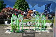 ref. photo 3604982