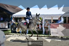 ref. photo 3605001