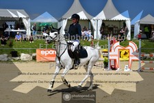 ref. photo 3605037