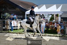 ref. photo 3605044