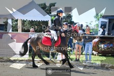 ref. photo 3605074