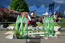 ref. photo 3605081
