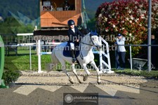 ref. photo 3605099