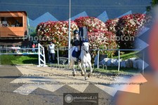 ref. photo 3605100