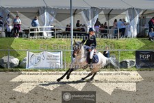 ref. photo 3605110