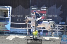 ref. photo 3605114