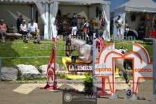 ref. photo 3605123