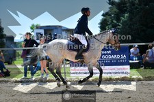 ref. photo 3605128