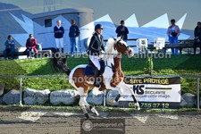 ref. photo 3605146
