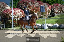 ref. photo 3605159