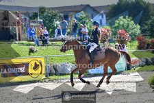 ref. photo 3605161