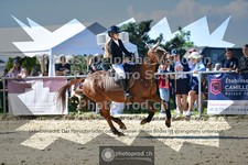 ref. photo 3605165