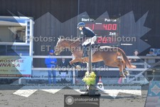 ref. photo 3605168