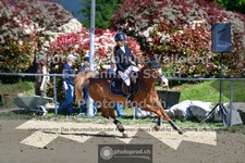 ref. photo 3605174