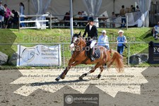 ref. photo 3605178