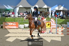 ref. photo 3605190