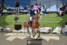 ref. photo 3605191
