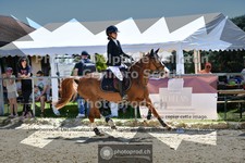ref. photo 3605196