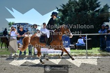 ref. photo 3605197