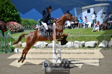 ref. photo 3605208