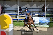 ref. photo 3605236