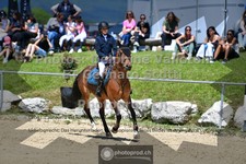 ref. photo 3605246