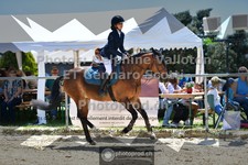 ref. photo 3605252