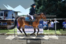 ref. photo 3605253